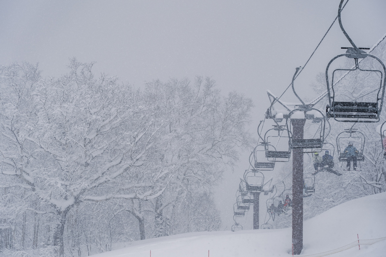 富良野スキー場｜数字以上に良い雪たっぷり！いよいよ『bonchi powder』本領発揮の季節到来です！
